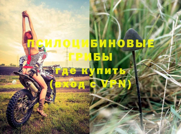 дурь Абинск
